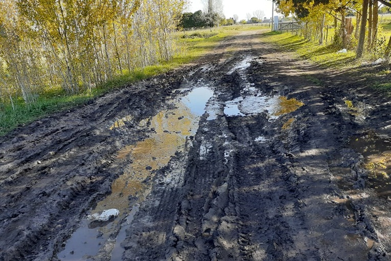 caminos