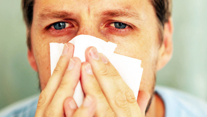alergia estacional