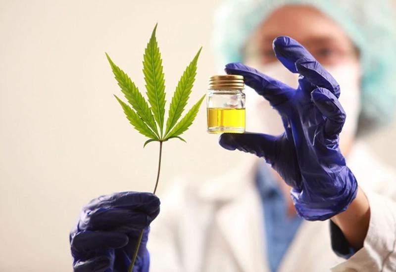 Cannabis medicinal