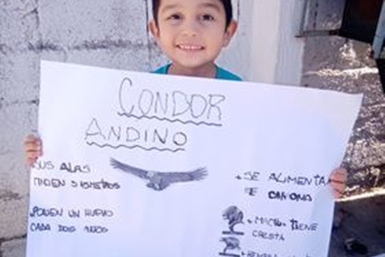 Educación ambiental