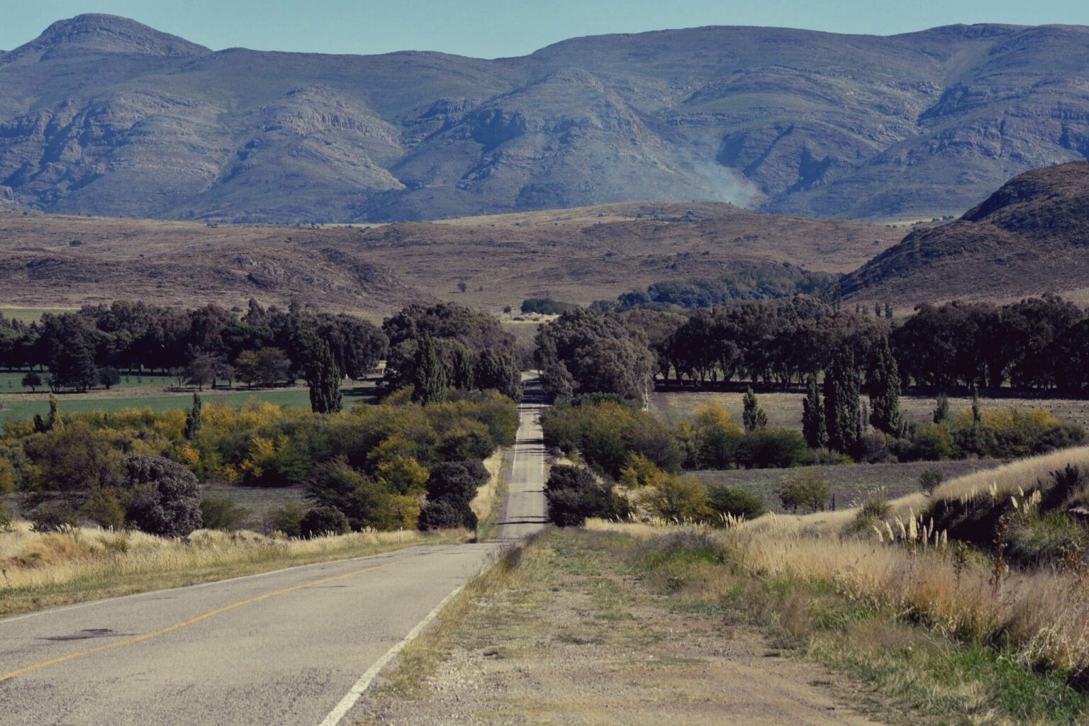 Tornquist levantó los controles 