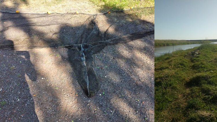 Infraccionaron a pescadores Olavarrienses