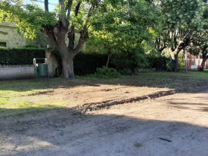 Trabajos de limpieza