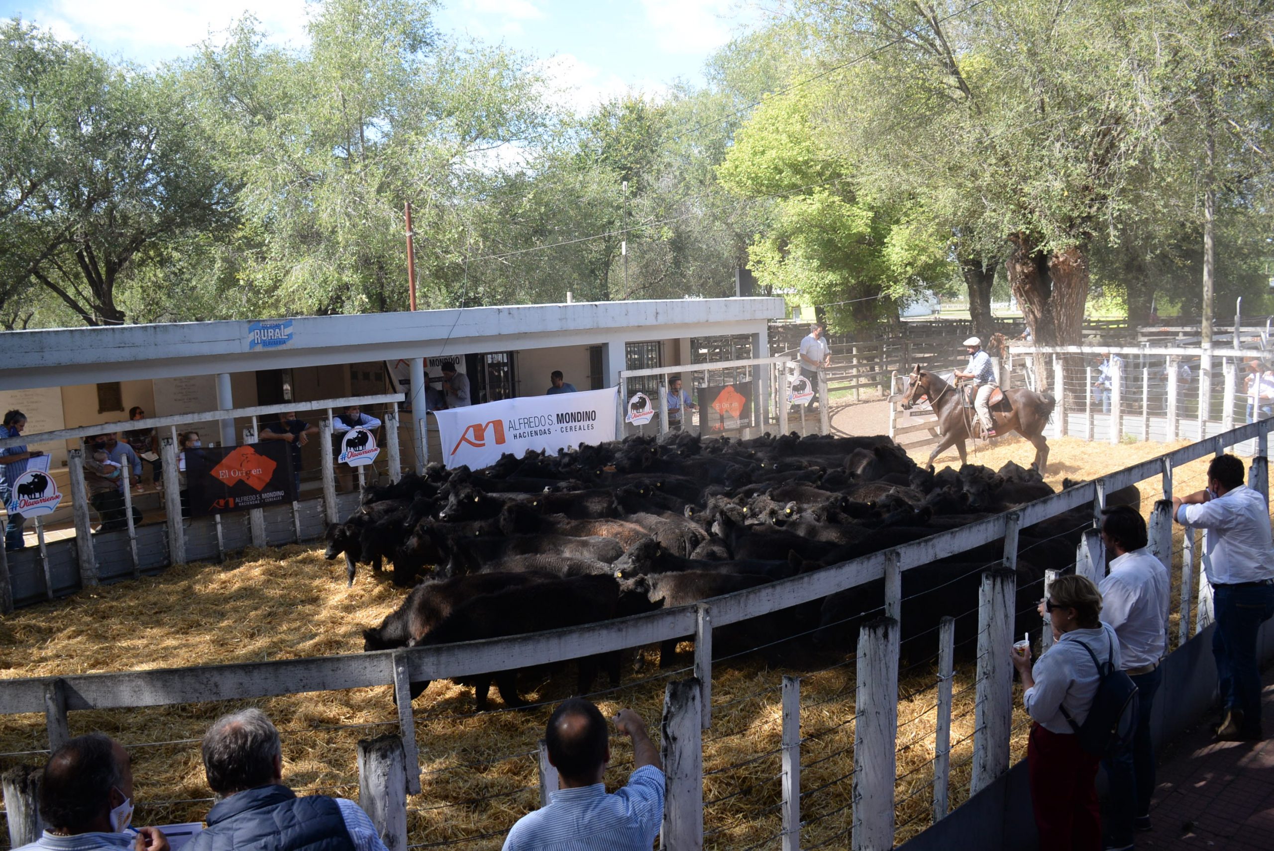 Olavarría será sede de un
