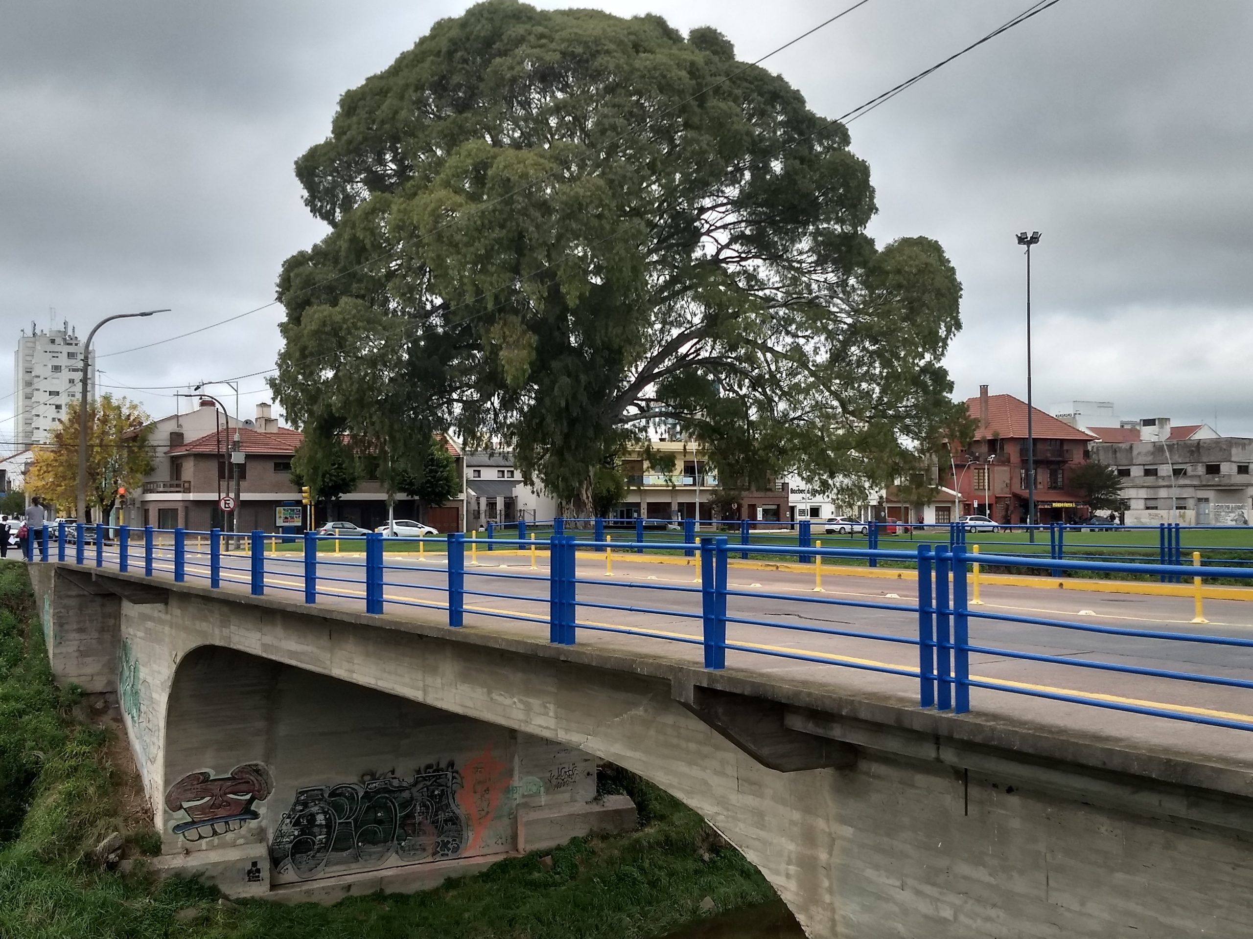El Municipio continúa las tareas