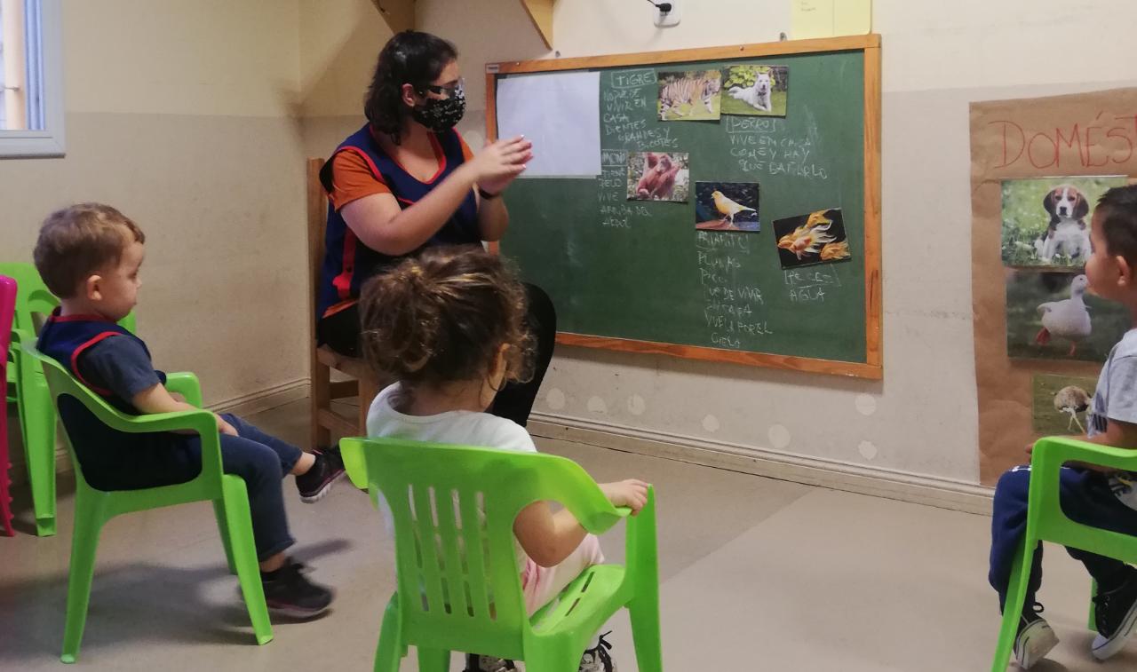 reconocimiento de animales