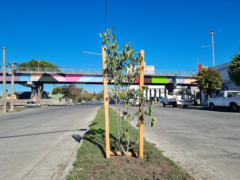 Días atrás se realizó la