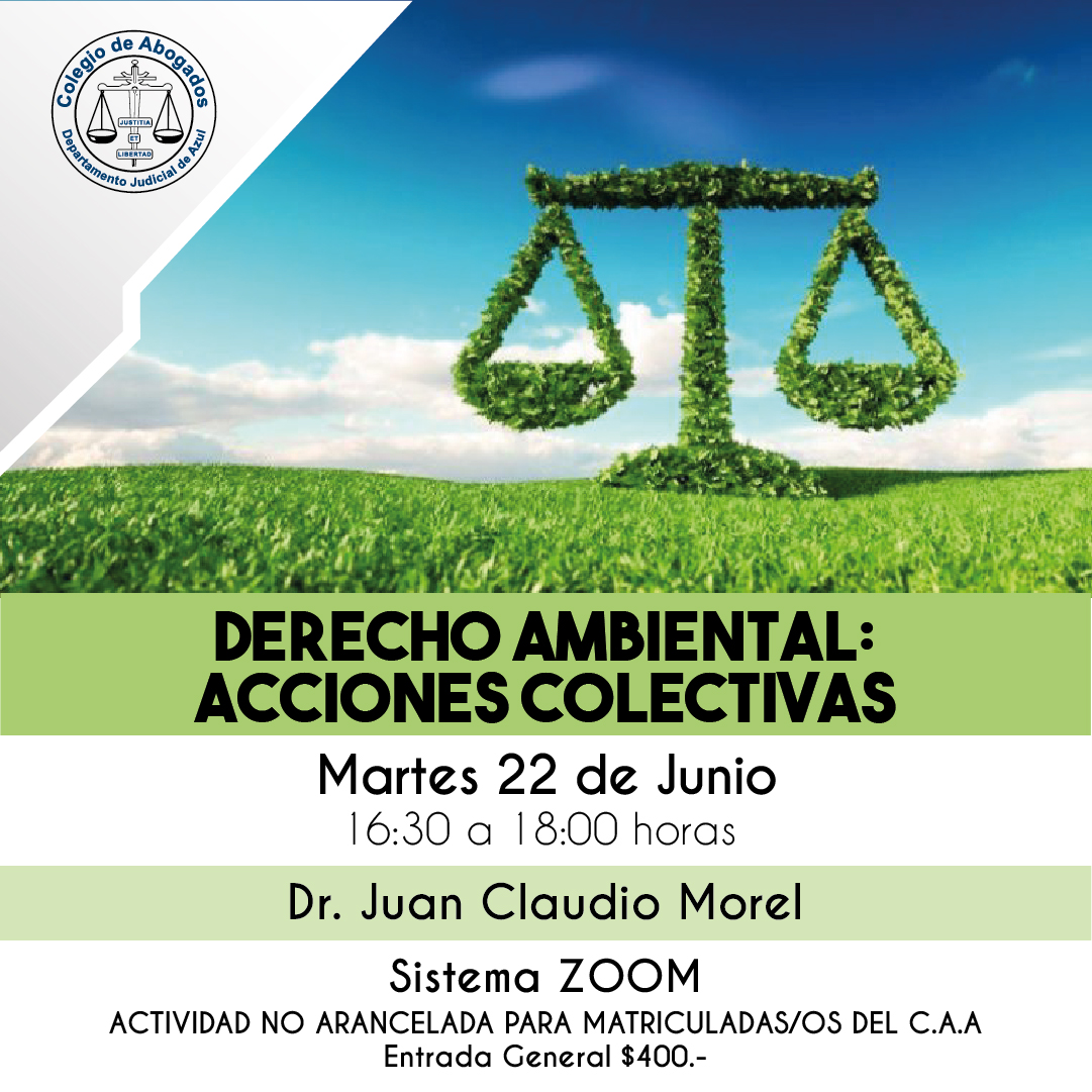 Derecho ambiental y acciones colectivas