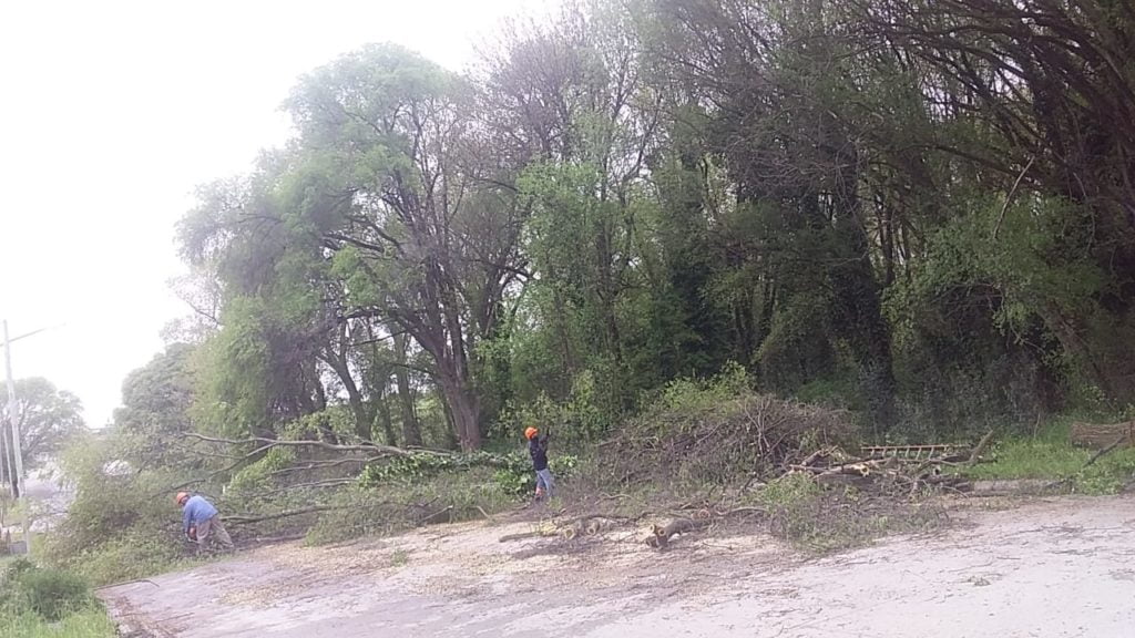 Trabajos de mantenimiento ambiental en