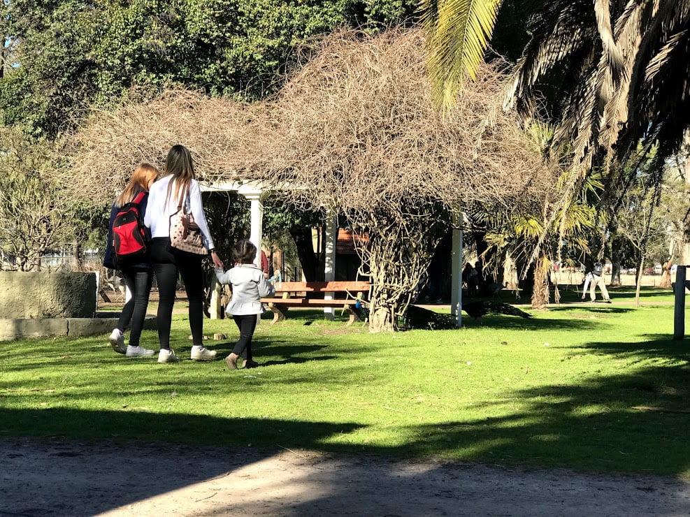 Programa de educación ambiental