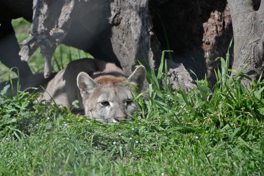 El Bioparque promueve una