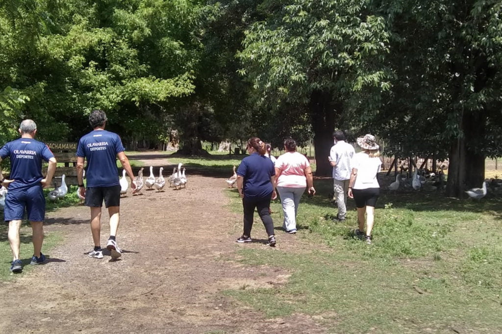 Convocatoria del Programa Juntos