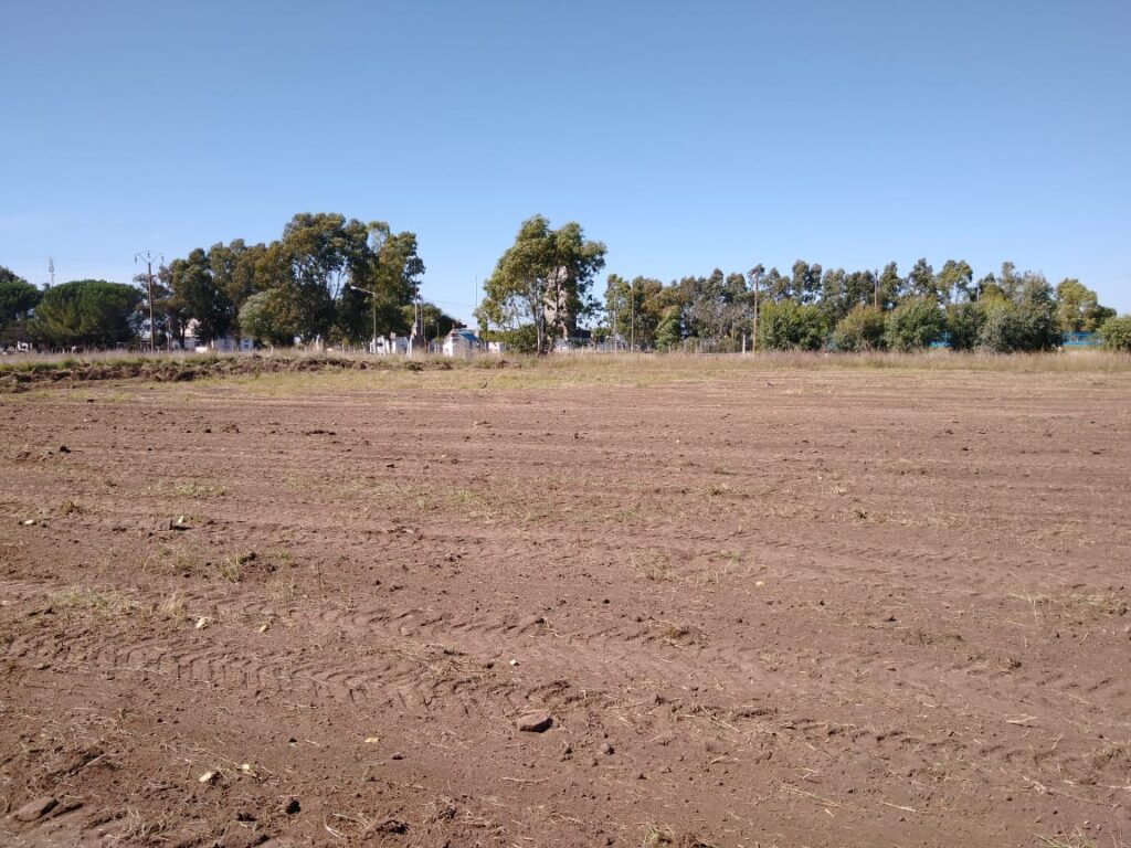Se realizan 