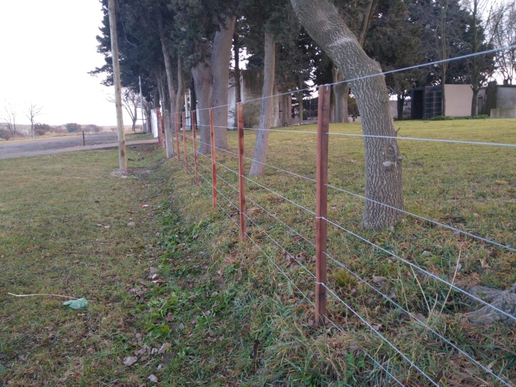 mantenimiento 