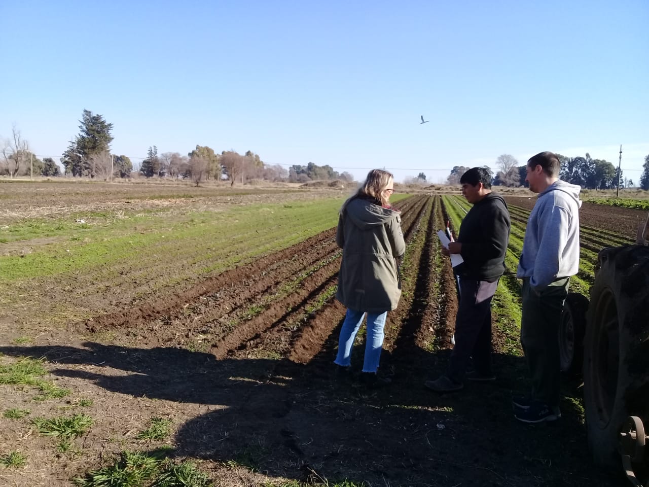 Desarrollo Agropecuario