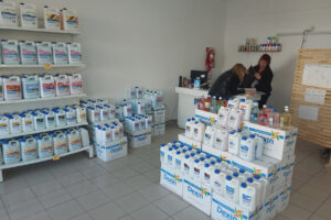 Desarrollo