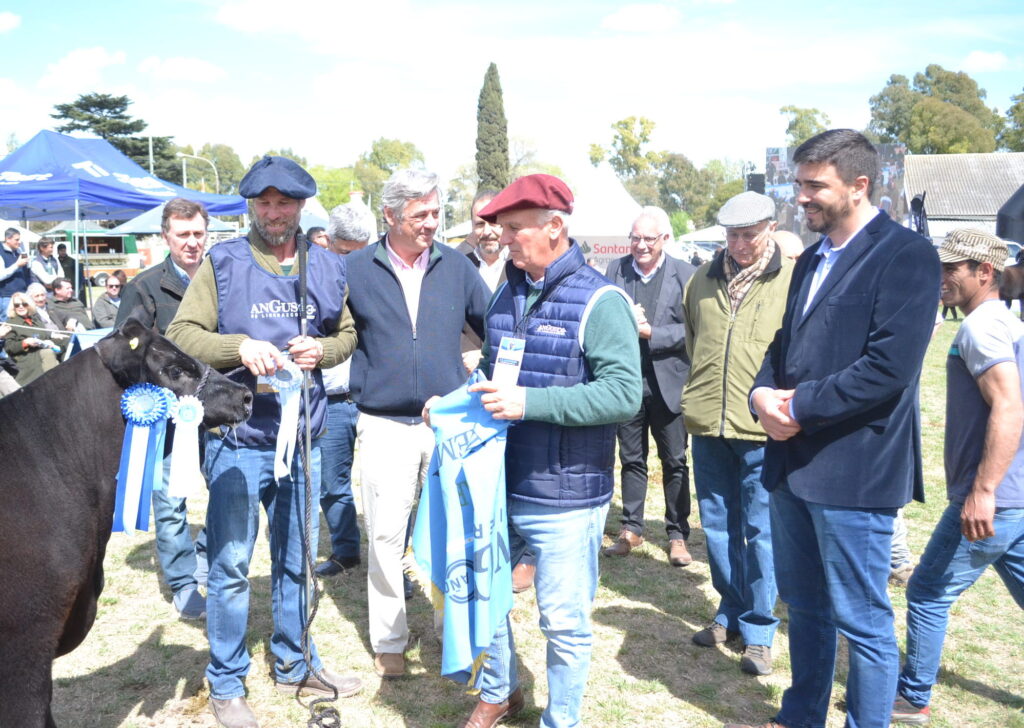Intendente 
