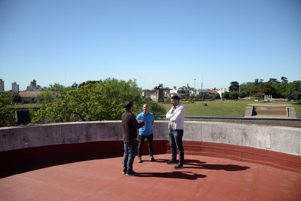 Renovación 