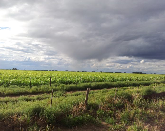 Las lluvias mejoraron las