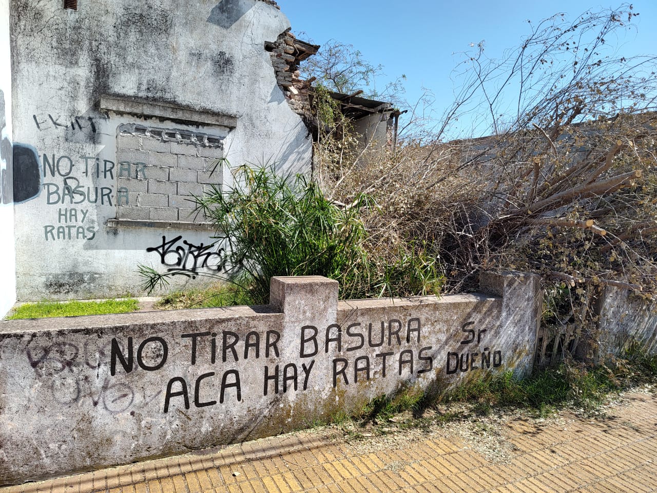 Vergel y Matrella acompañan