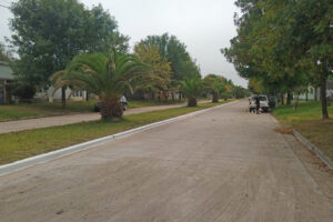 Tareas de