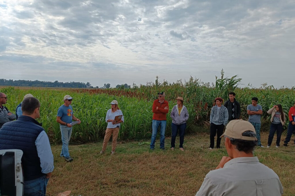 Agropecuario 