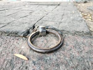 La UCR presentó