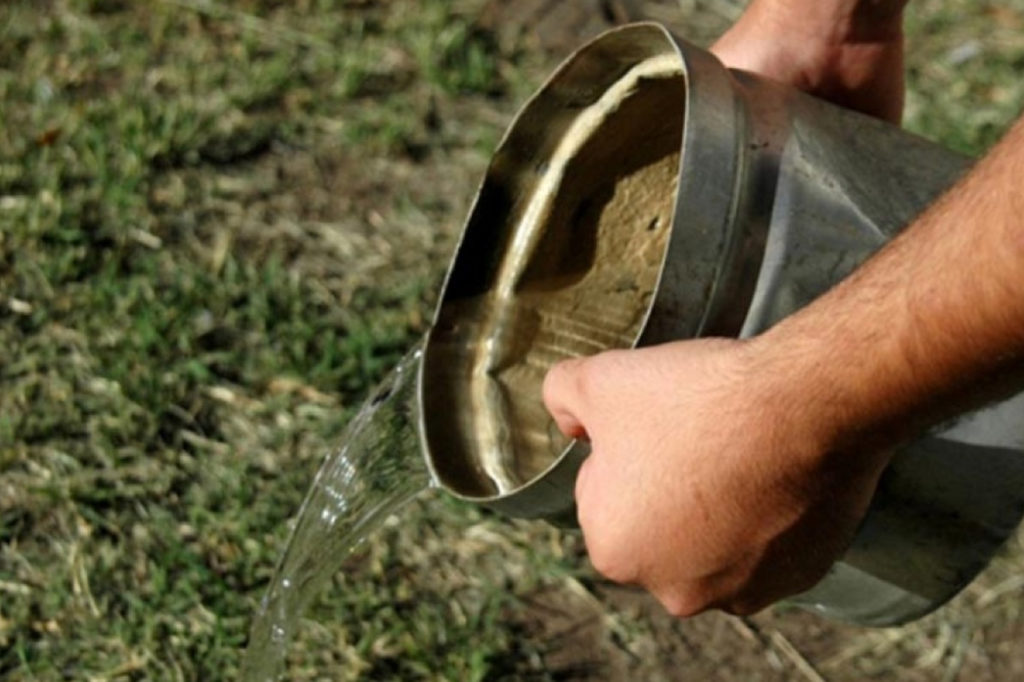 Pautas para prevenir dengue