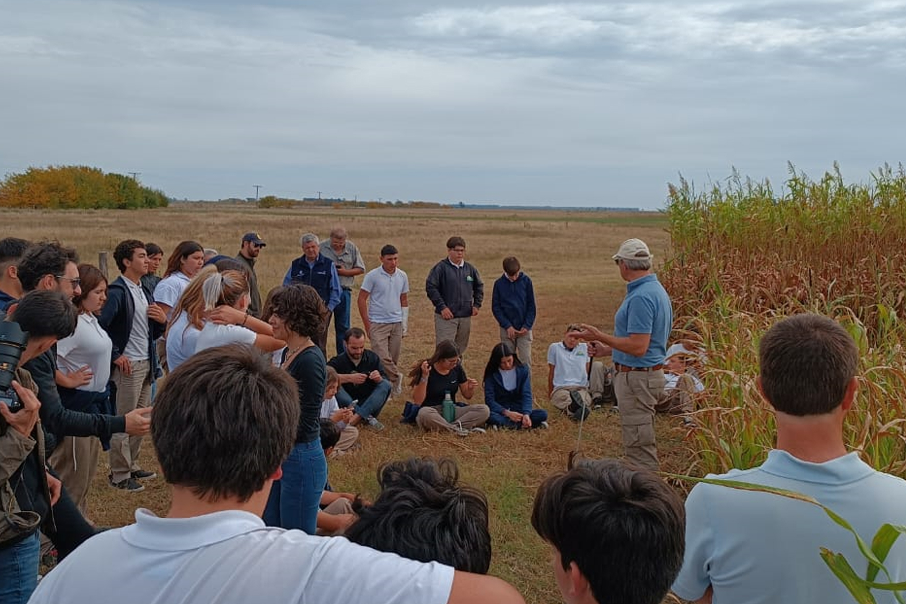 Desarrollo agropecuario