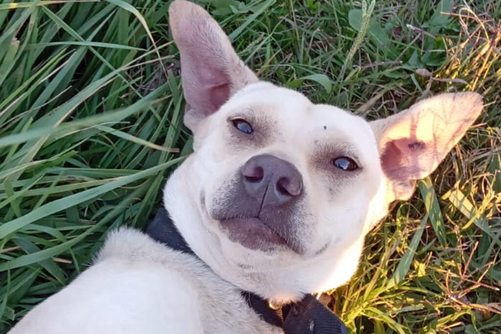 Moly busca 