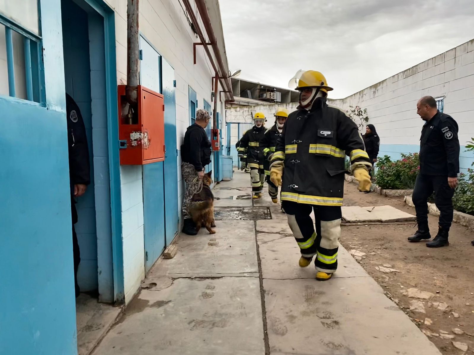 Simulacro Lucha contra incendio