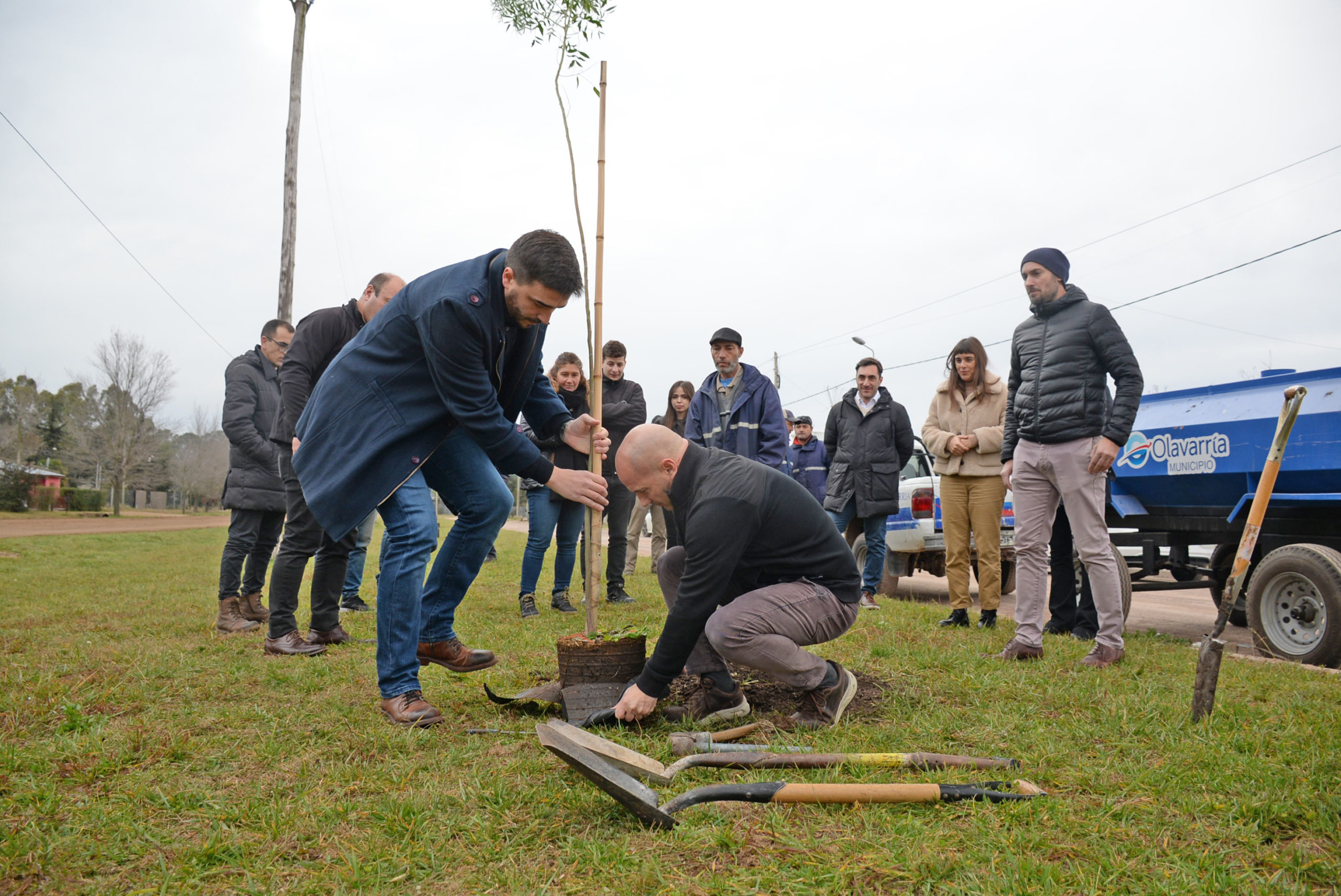 Olavarría suma más arboles