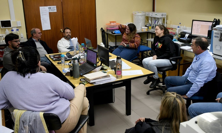 Estamos trabajando un proyecto
