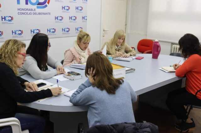 Concejo Deliberante Estudiantil