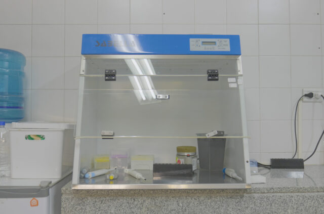 Laboratorio de Biología Molecular