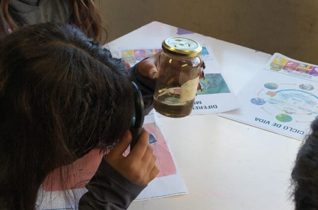 Continúan las actividades en