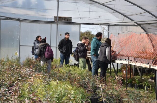 Proyecto de huerta en