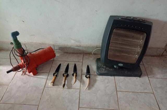 Recuperaron elementos que habían