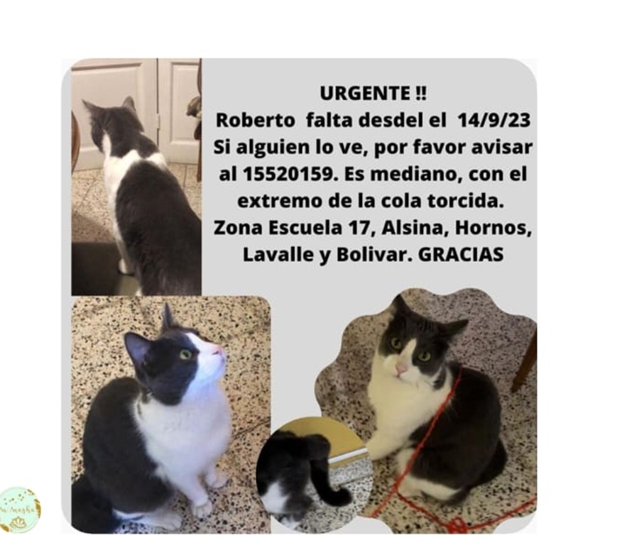 Una familia busca