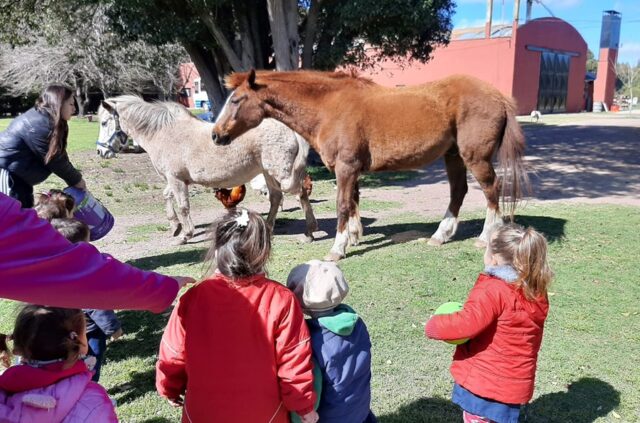 Actividades en la