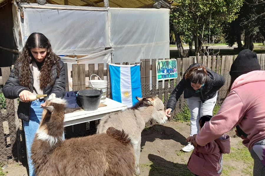Comenzaron las pasantías en