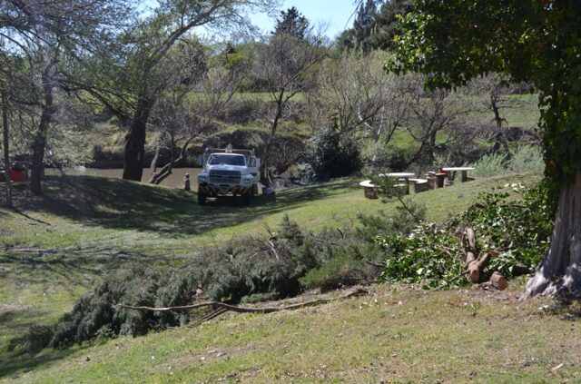 El parque
