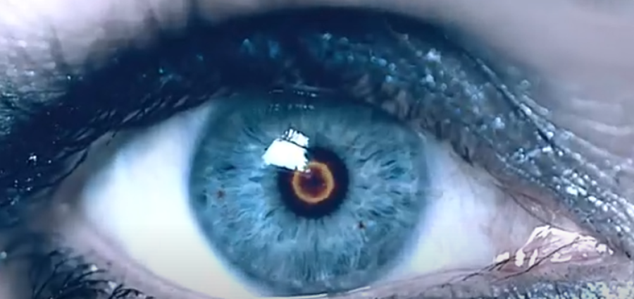 Evolution un corto que