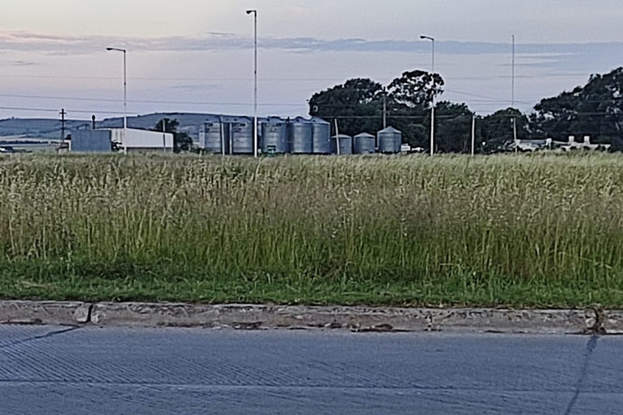 Ruta 226