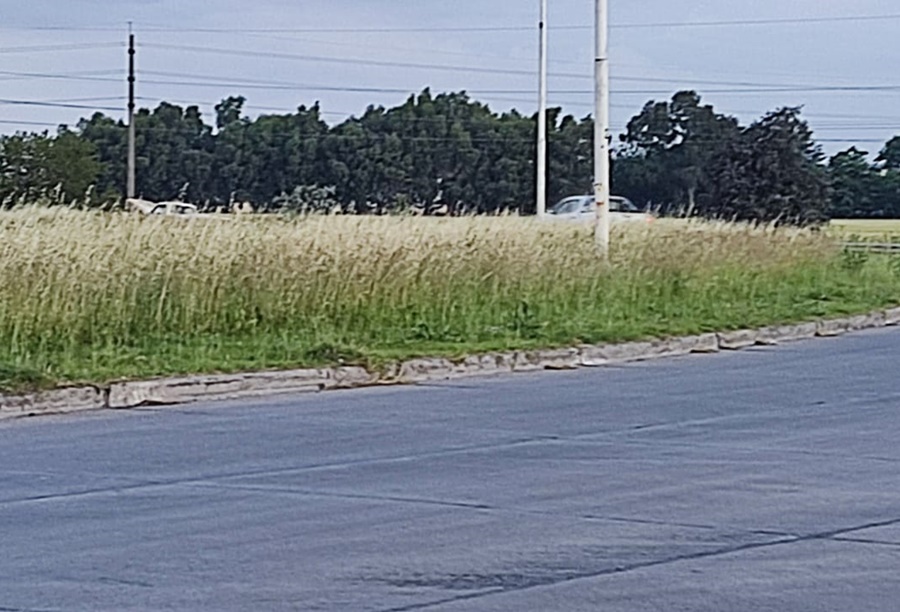 Ruta 