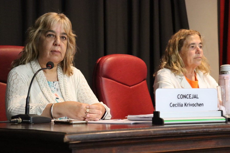 Se sancionó la Ordenanza