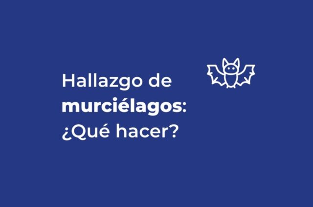Ante la aparición de