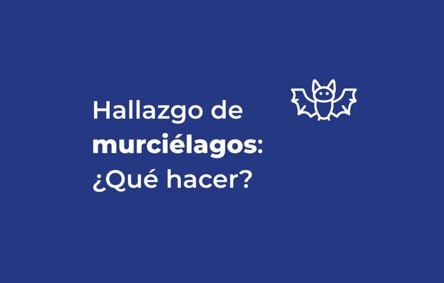 Ante la aparición de