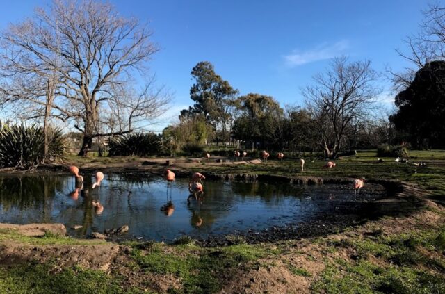 El Bioparque permanecerá cerrado