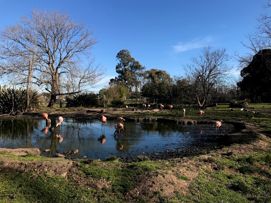 El Bioparque permanecerá cerrado